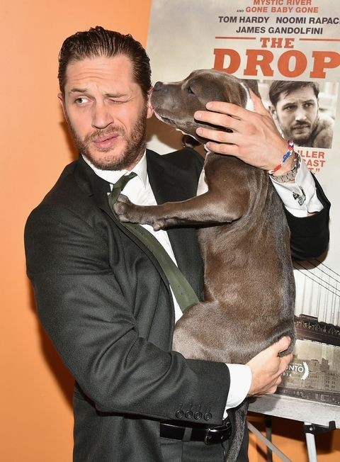 Tom Hardy